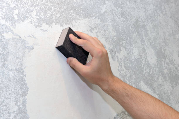 Professional Mold Removal in Hot Springs Village, AR