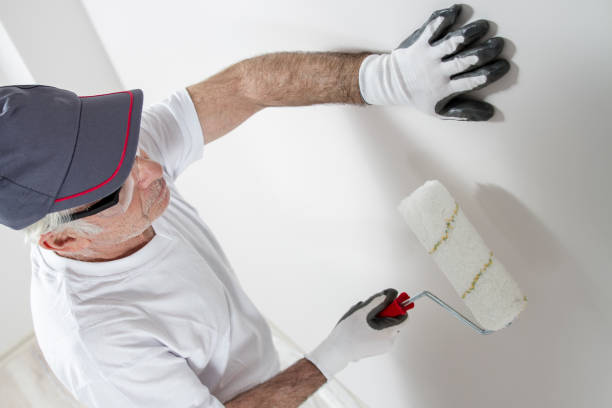 Best Post-Remediation Verification Testing  in Hot Springs Village, AR