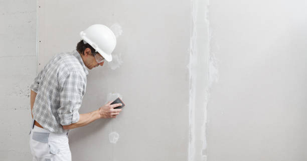 Best Post-Construction Mold Inspection  in Hot Springs Village, AR
